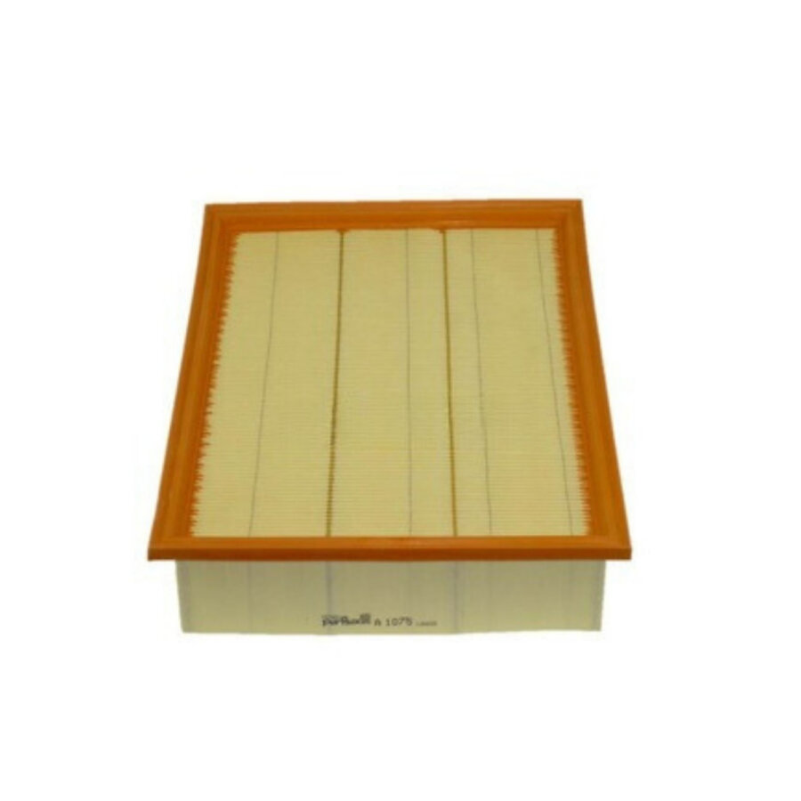 Filtro aria PURFLUX A1075