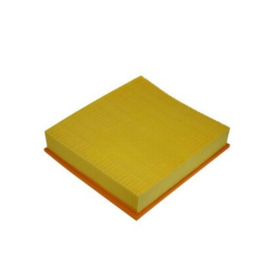 Filtro aria PURFLUX A1087