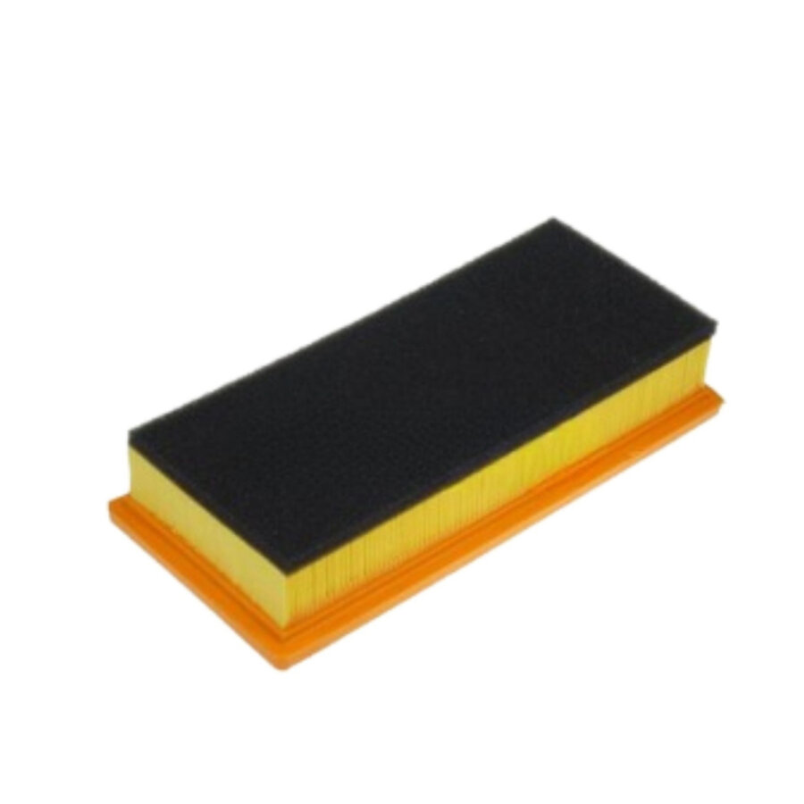 Filtro aria PURFLUX A1091