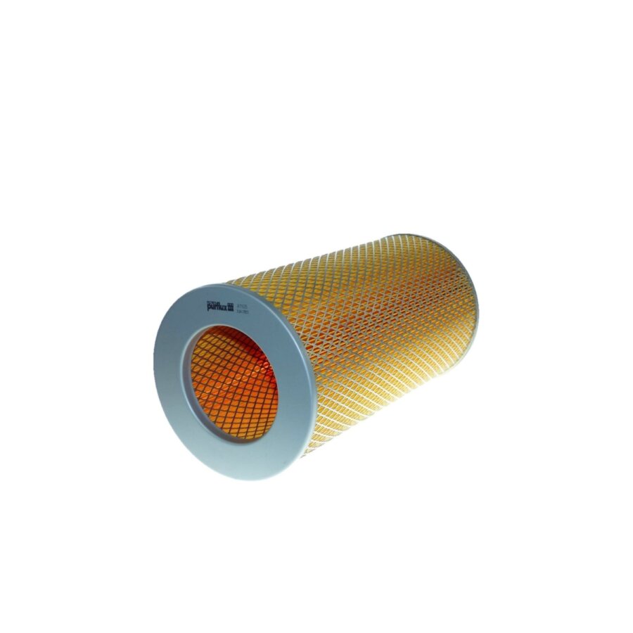 Filtro aria PURFLUX A1105