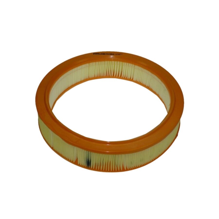 Filtro aria PURFLUX A1108