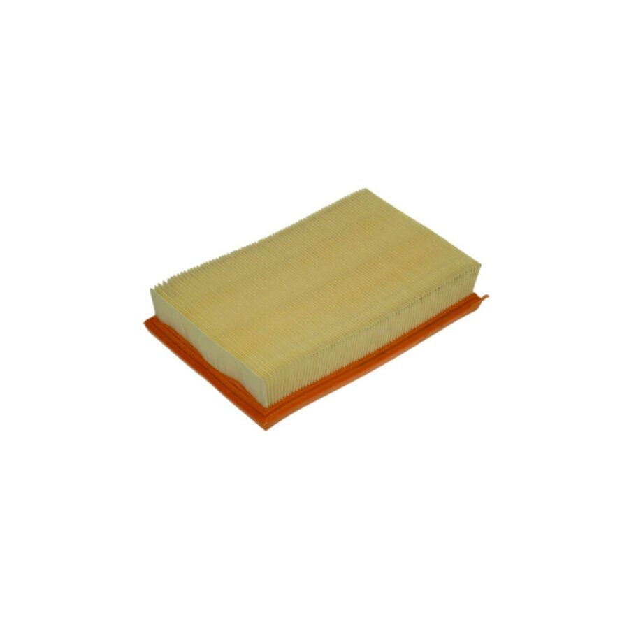 Filtro aria PURFLUX A1109