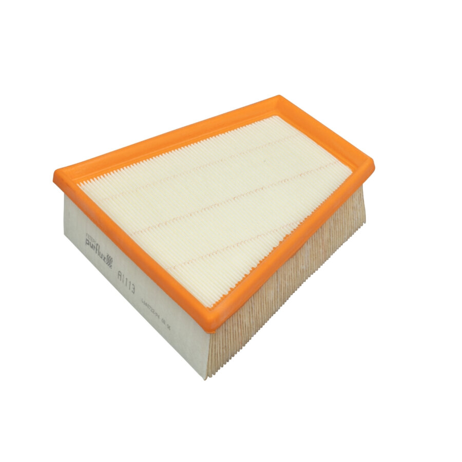 Filtro aria PURFLUX A1113