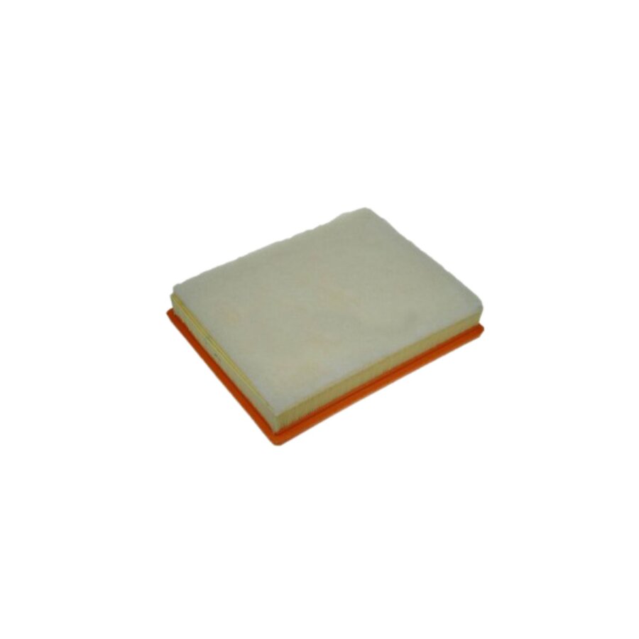 Filtro aria PURFLUX A1350