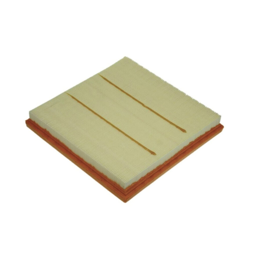 Filtro aria PURFLUX A1380