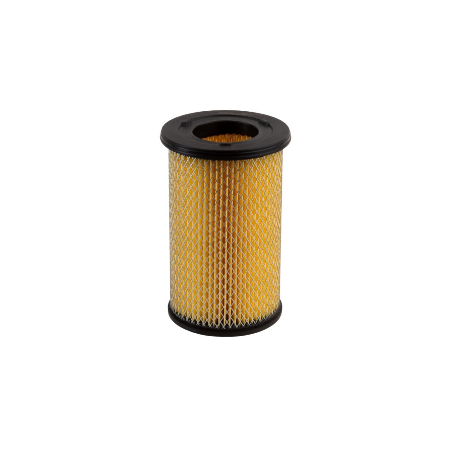 Filtro aria PURFLUX A1396