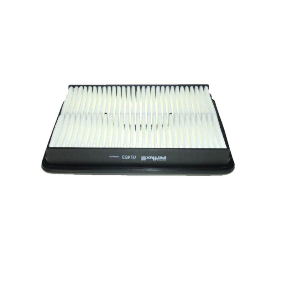 Filtro aria PURFLUX A1453