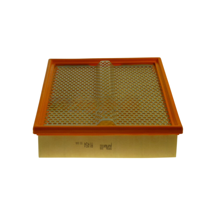 Filtro aria PURFLUX A1454