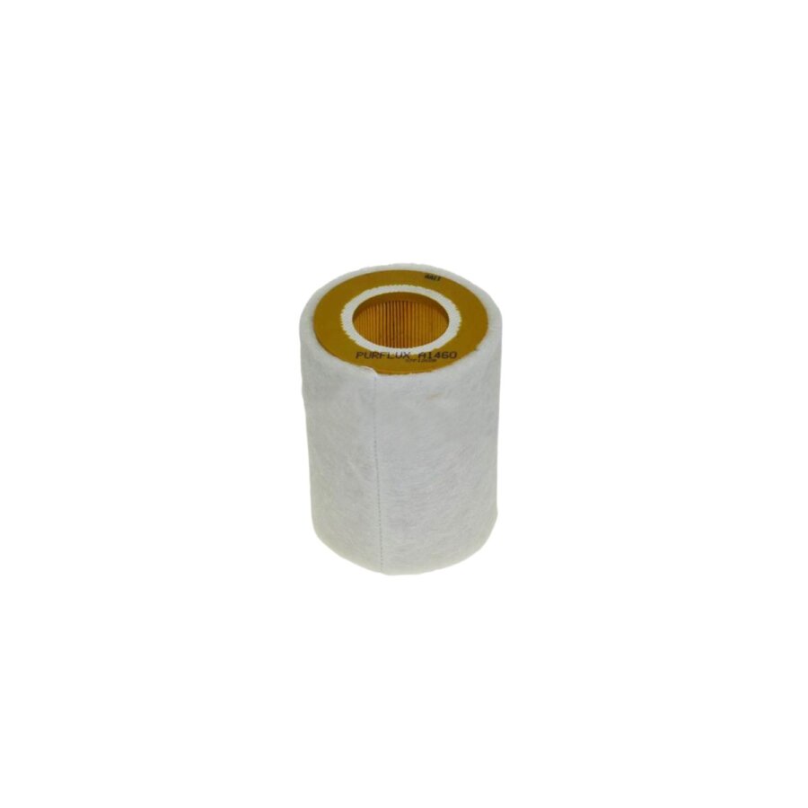 Filtro aria PURFLUX A1460