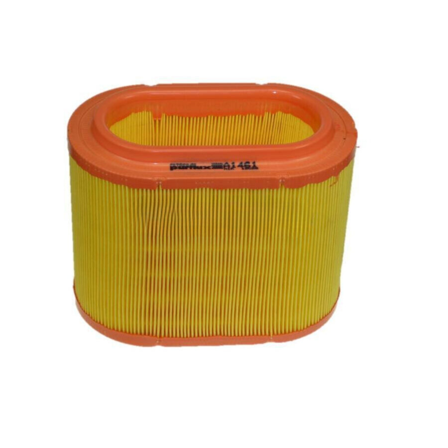 Filtro aria PURFLUX A1461
