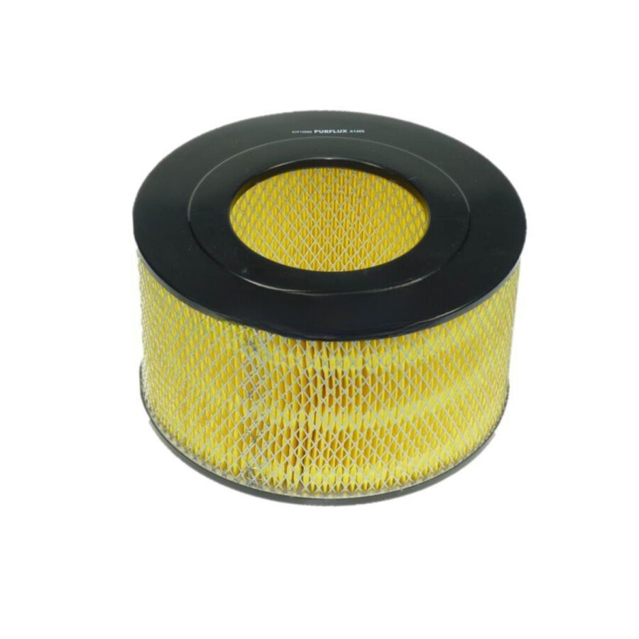 Filtro aria PURFLUX A1465