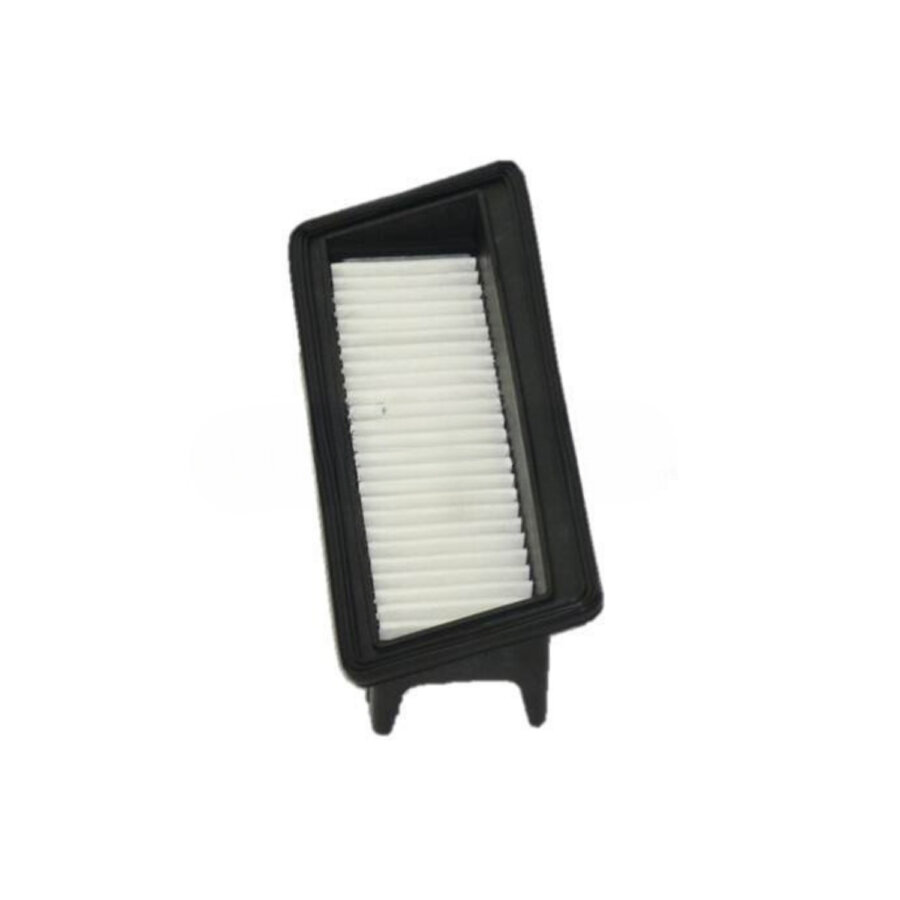 Filtro aria PURFLUX A1469