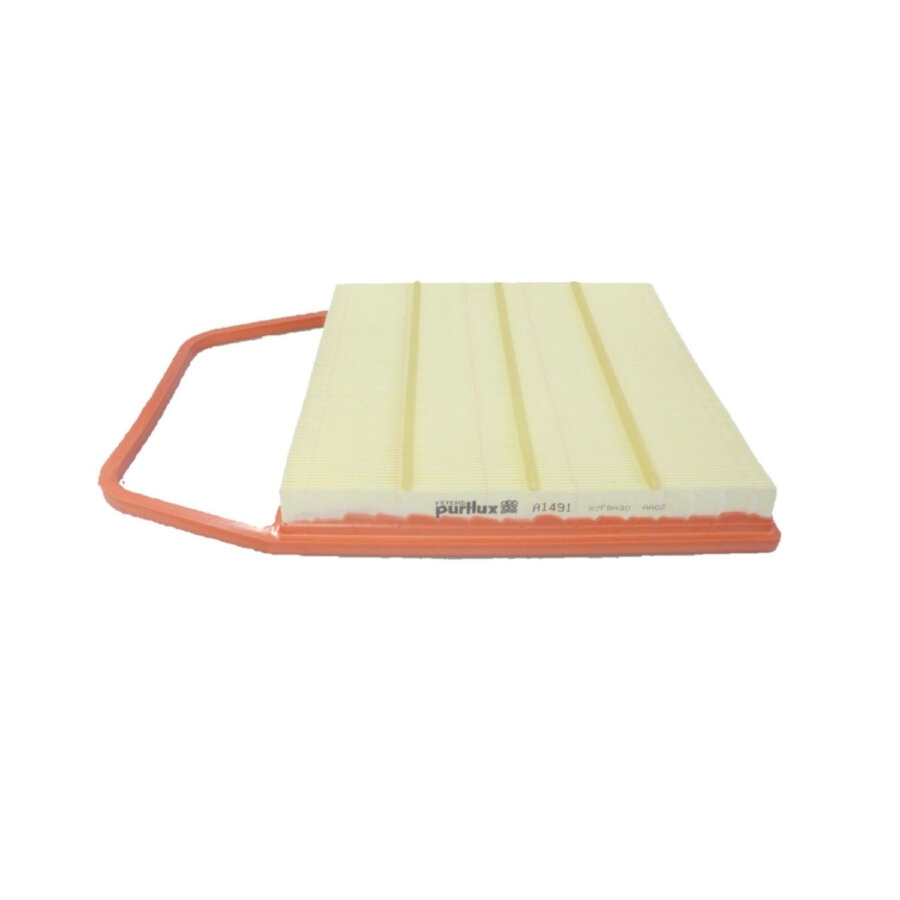 Filtro aria PURFLUX A1491