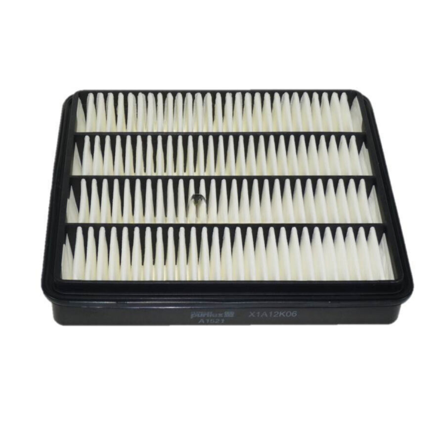 Filtro aria PURFLUX A1521