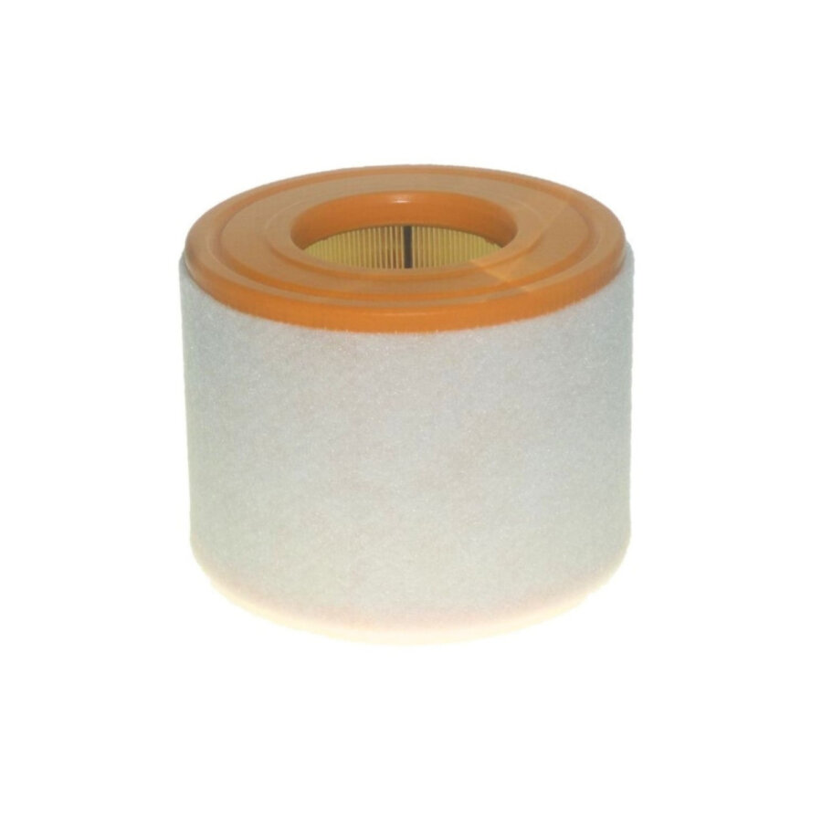 Filtro aria PURFLUX A1549