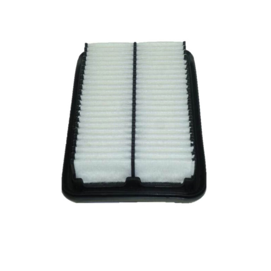 Filtro aria PURFLUX A1551