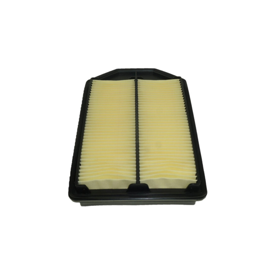 Filtro aria PURFLUX A1587