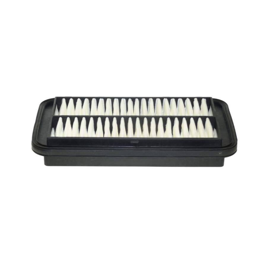 Filtro aria PURFLUX A1704