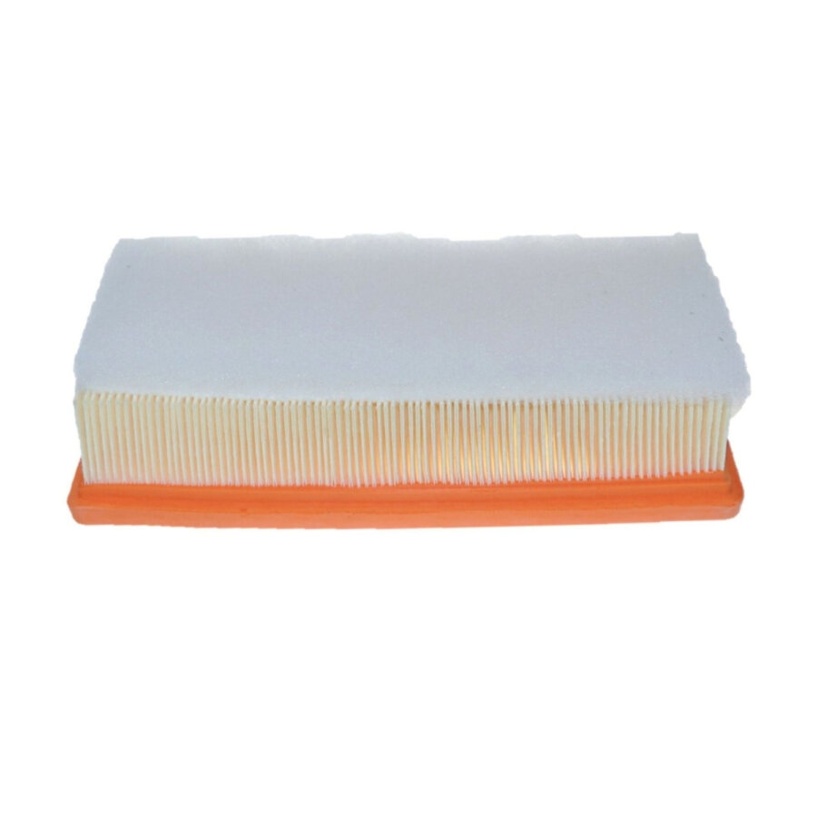 Filtro aria PURFLUX A1790