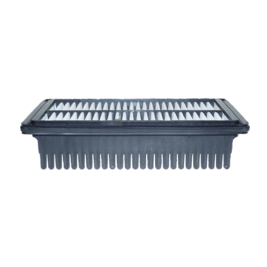 Filtro aria PURFLUX A1796