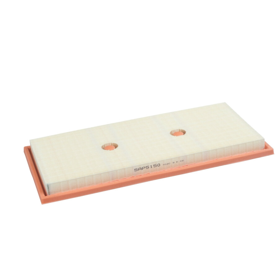 Filtro aria PURFLUX A1815