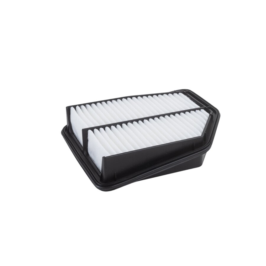 Filtro aria PURFLUX A1824