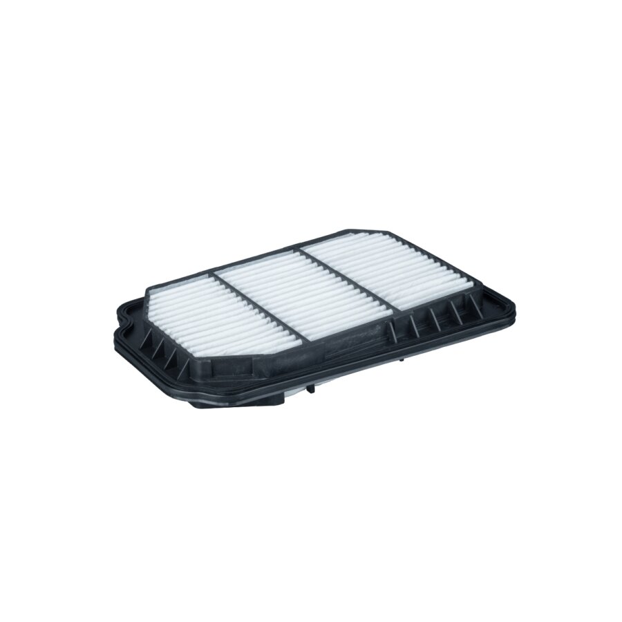 Filtro aria PURFLUX A1830