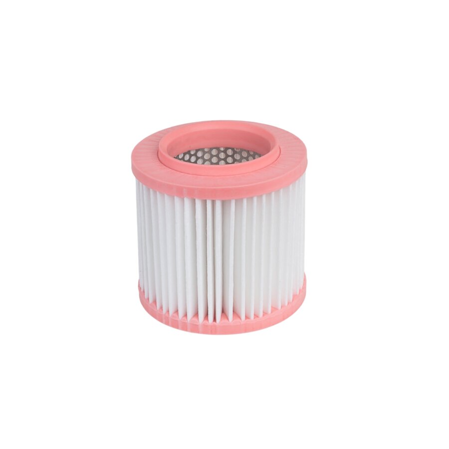 Filtro aria PURFLUX A1831