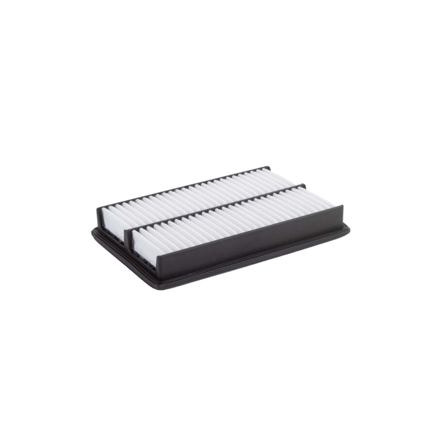 Filtro aria PURFLUX A1859