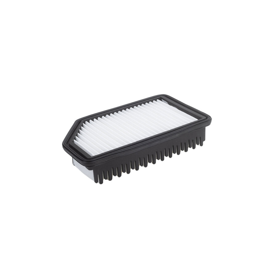 Filtro aria PURFLUX A1860