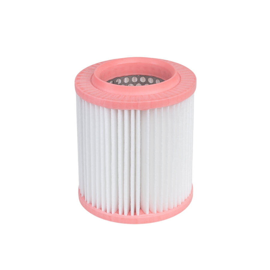 Filtro aria PURFLUX A1907