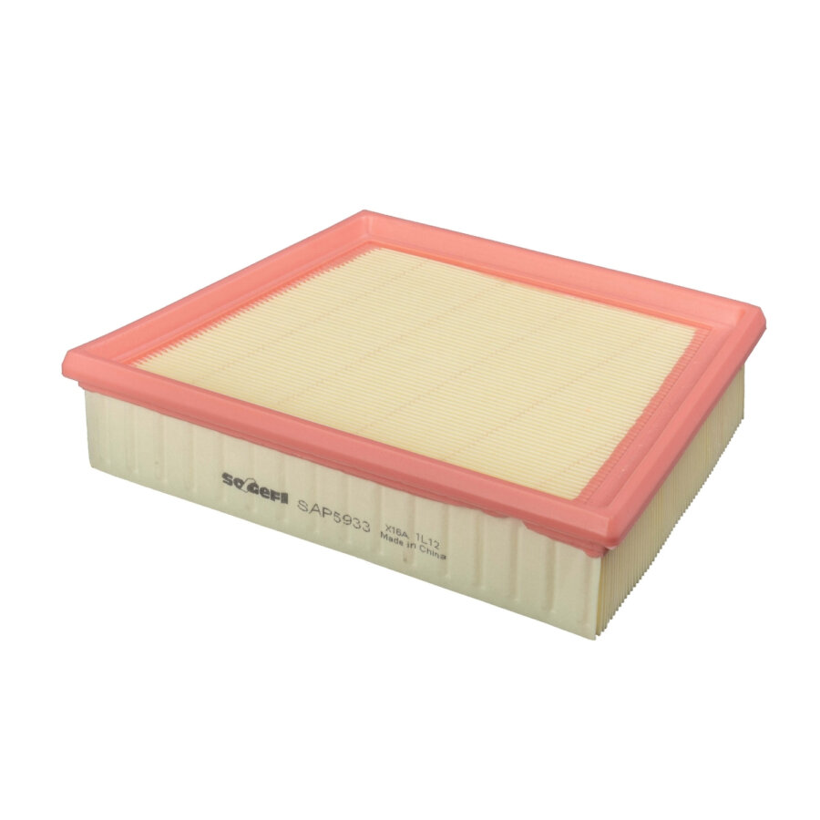 Filtro aria PURFLUX A3009