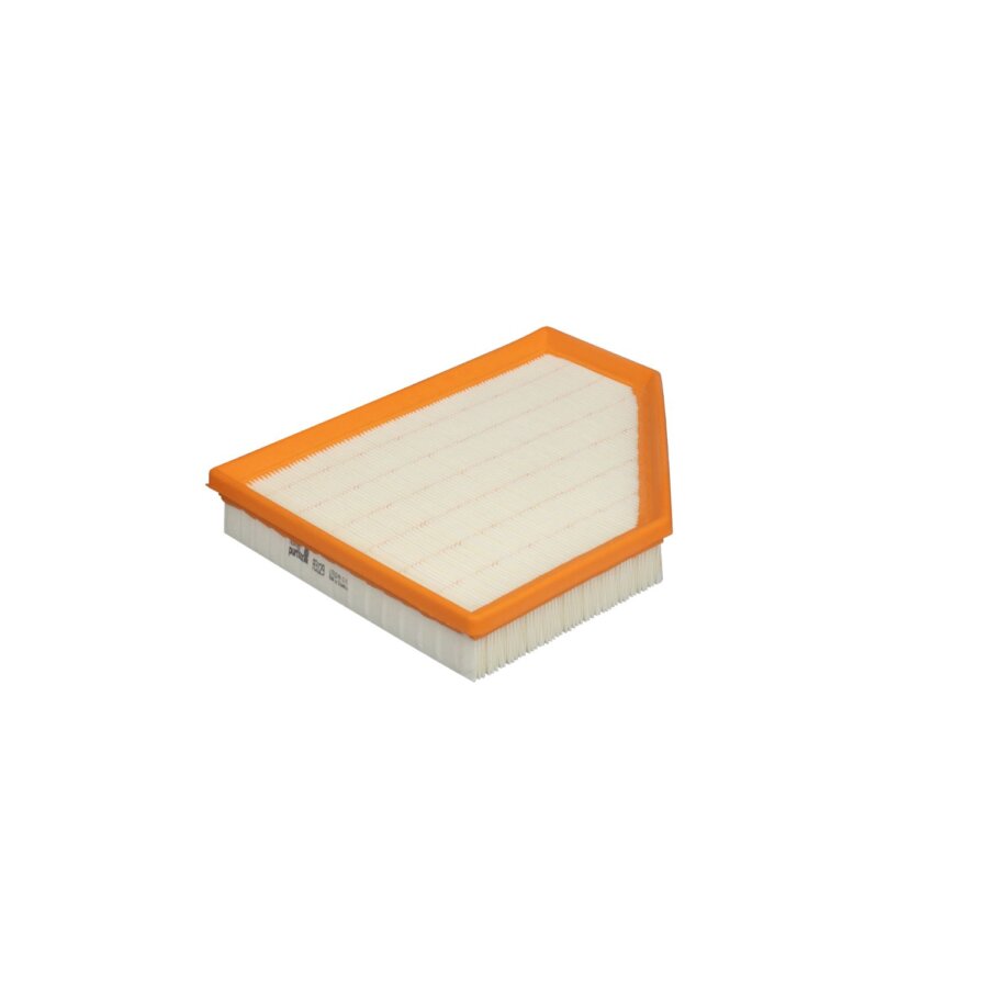Filtro aria PURFLUX A3029