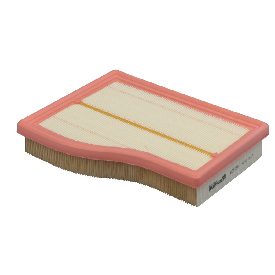 Filtro aria PURFLUX A3030