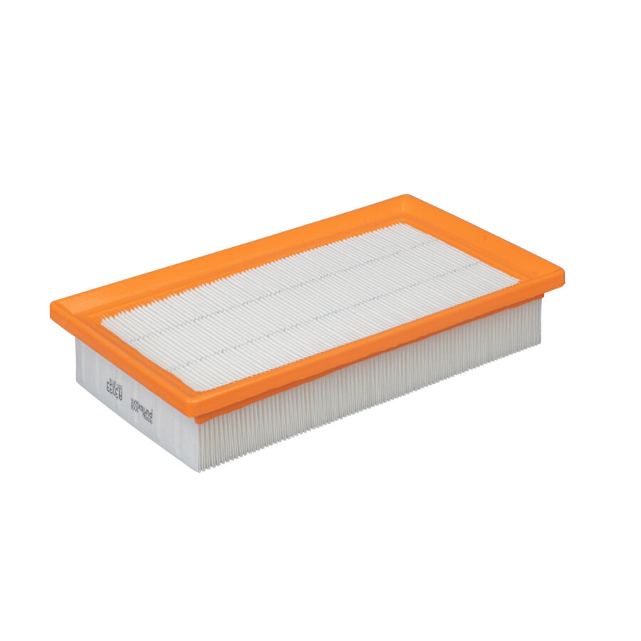 Filtro aria PURFLUX A3033