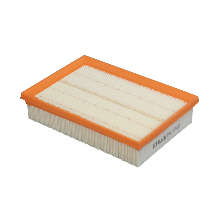 Filtro aria PURFLUX A3041