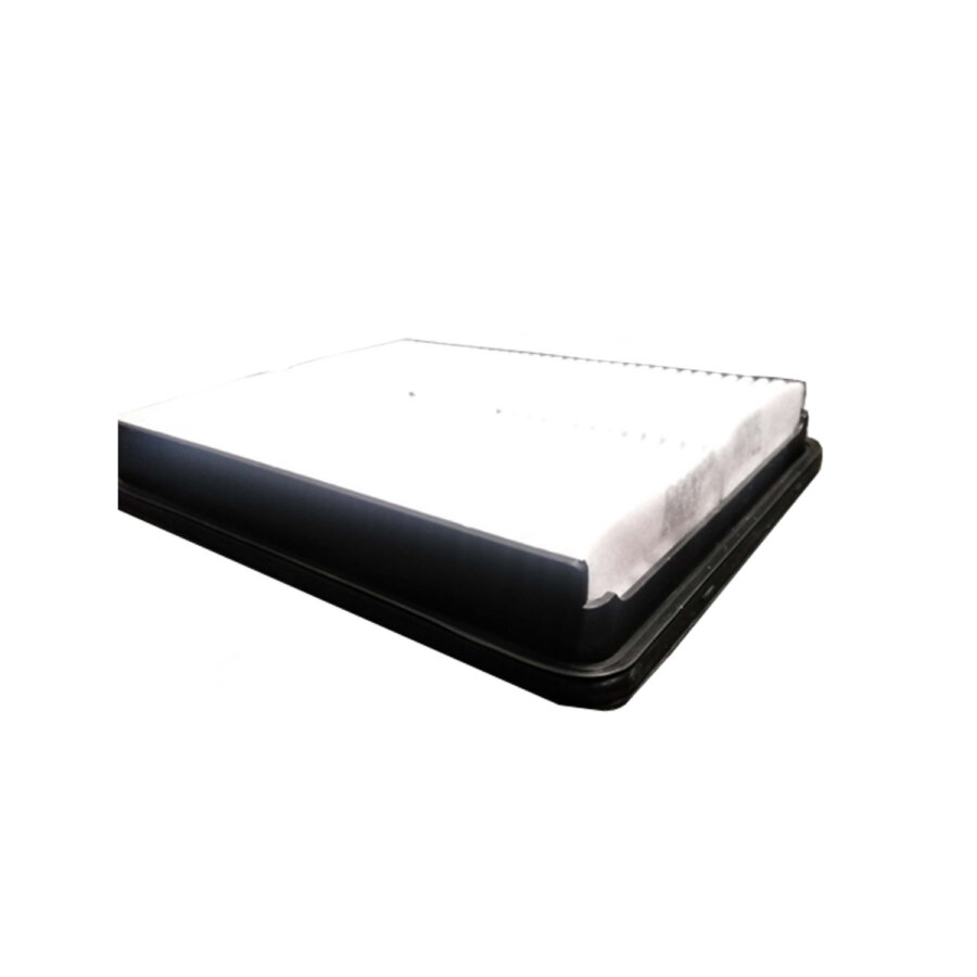 Filtro aria PURFLUX A3045
