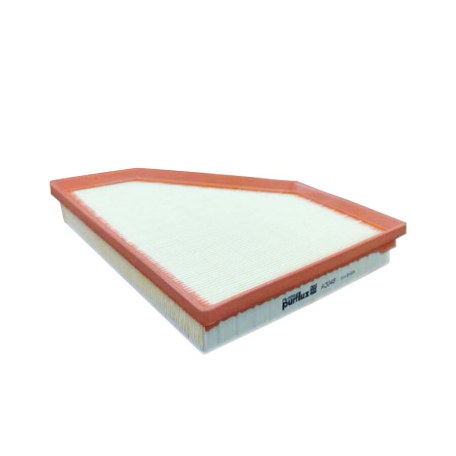 Filtro aria PURFLUX A3048