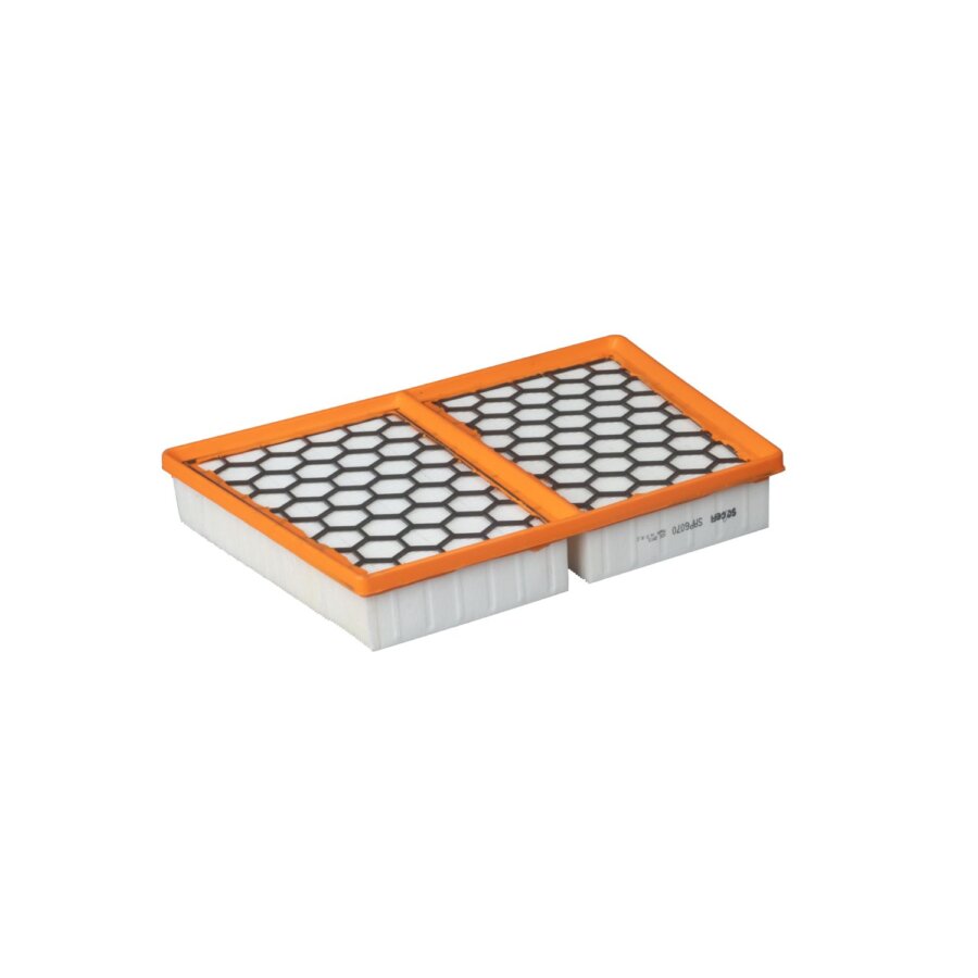 Filtro aria PURFLUX A3050