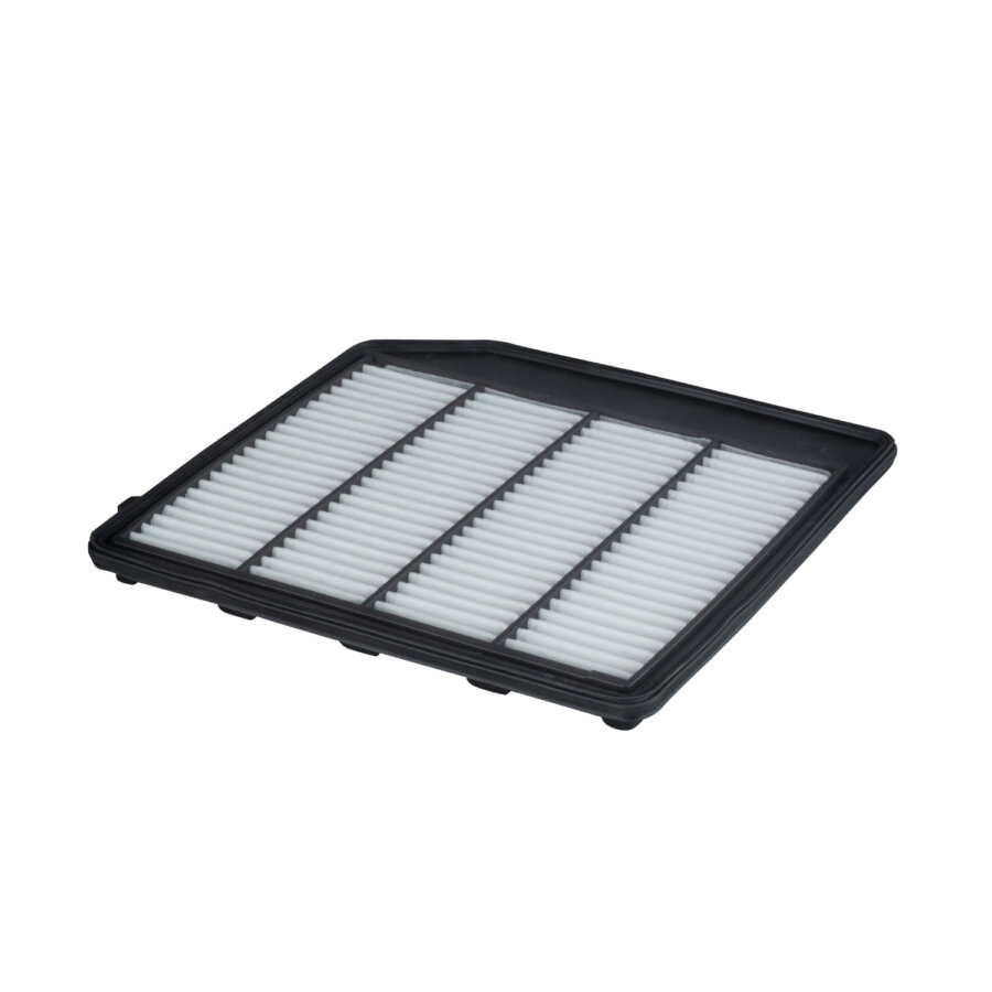 Filtro aria PURFLUX A3051