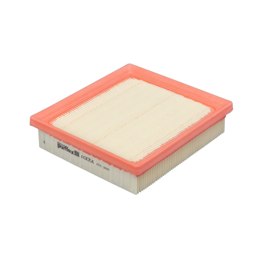 Filtro aria PURFLUX A3054