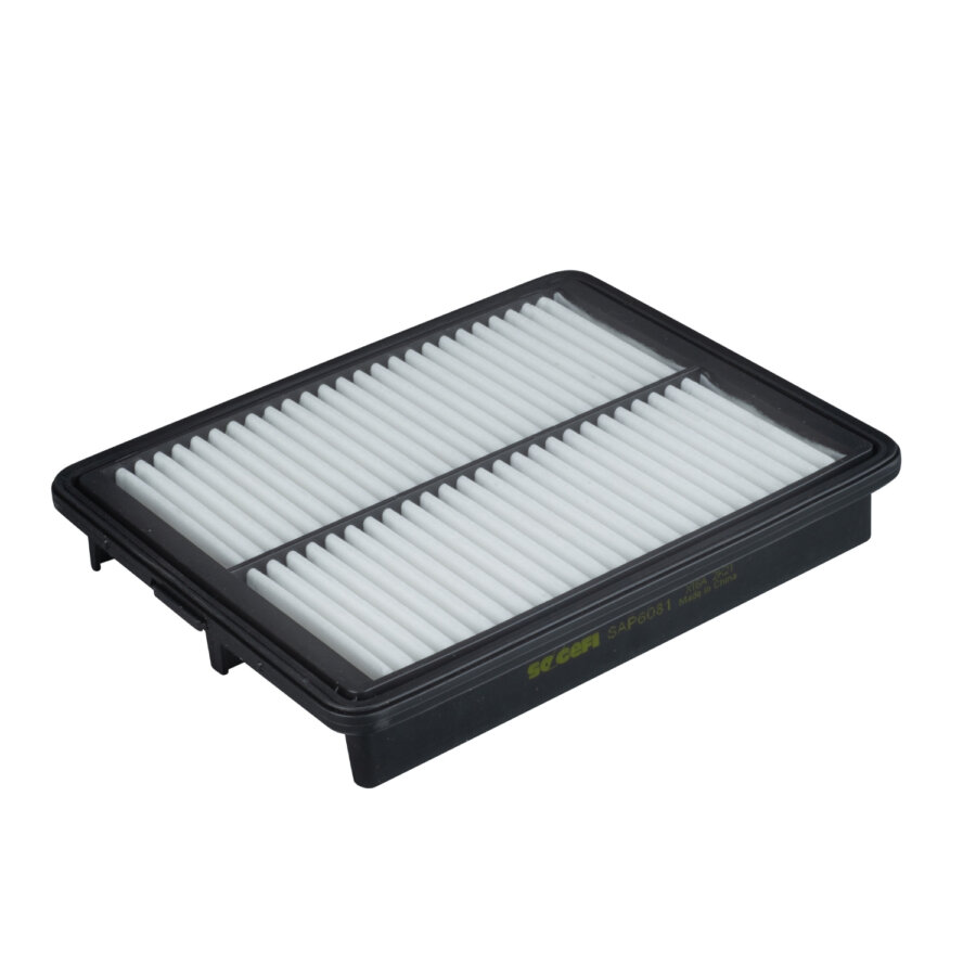 Filtro aria PURFLUX A3057