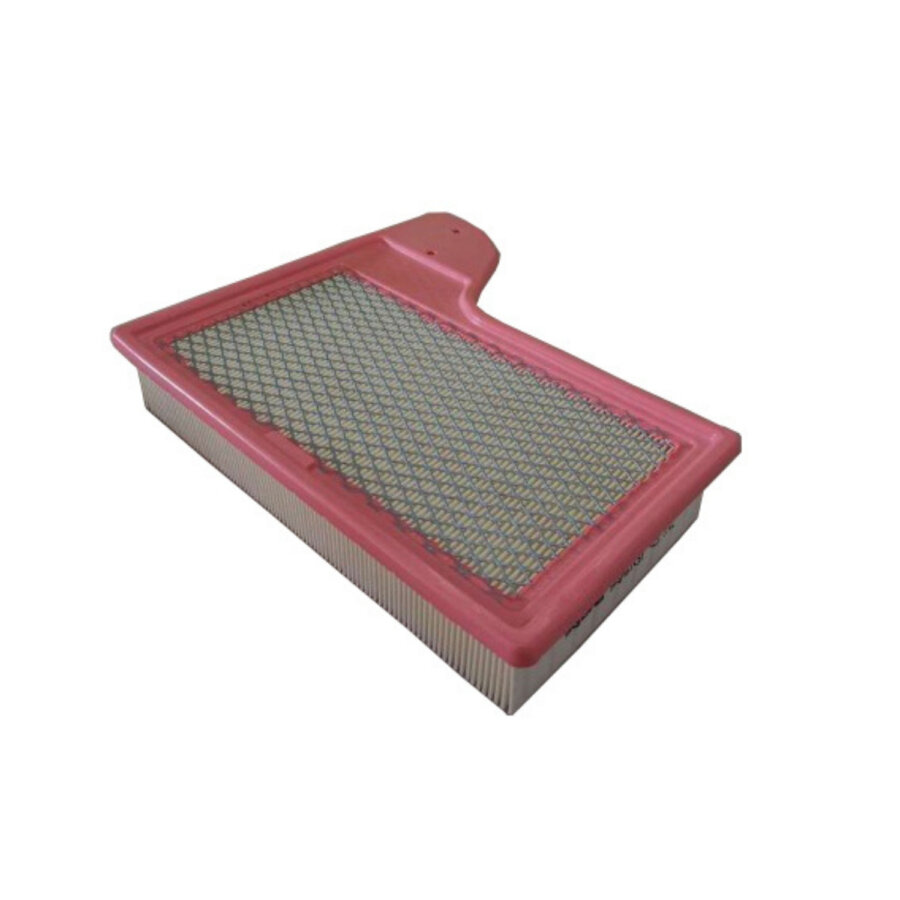Filtro aria PURFLUX A3060