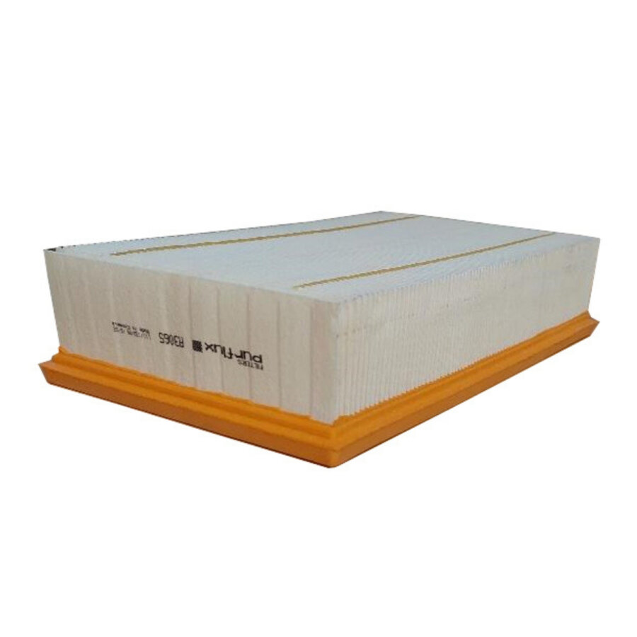 Filtro aria PURFLUX A3065