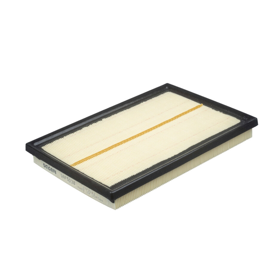 Filtro aria PURFLUX A3076