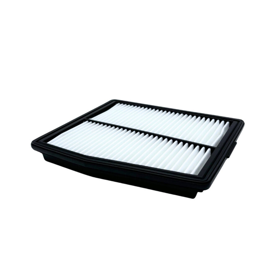Filtro aria PURFLUX A3165