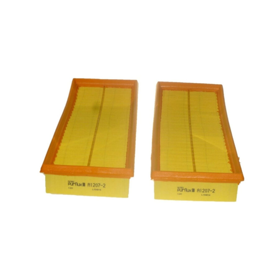 Filtro aria PURFLUX A1207-2
