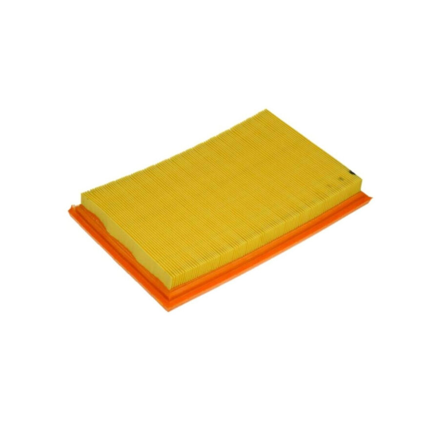 Filtro aria PURFLUX A1156