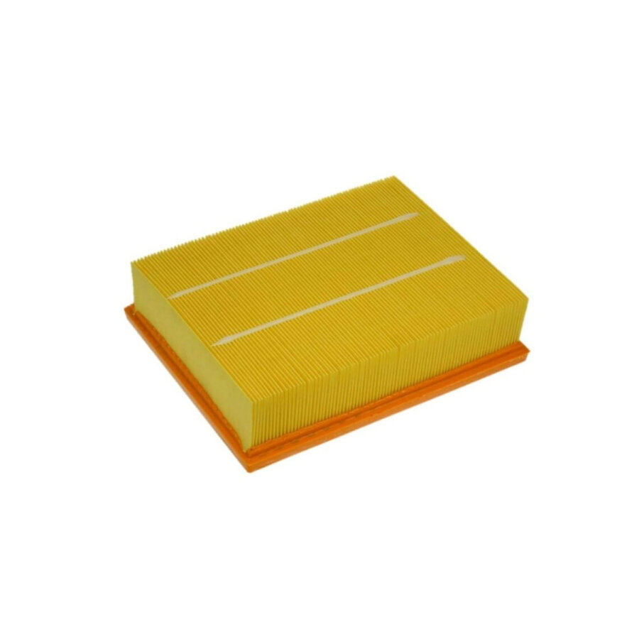 Filtro aria PURFLUX A1165