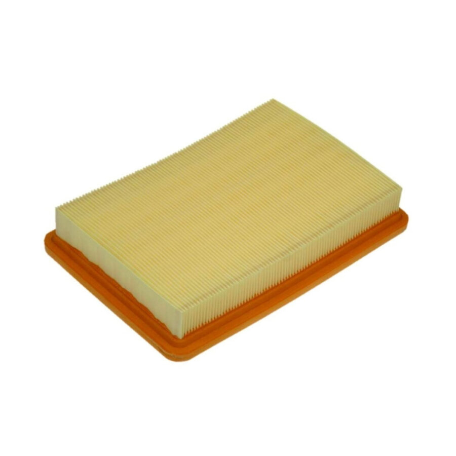 Filtro aria PURFLUX A1174